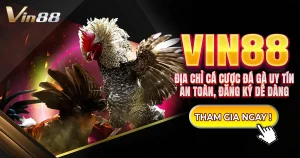 So sánh các loại đá gà tại Vin88