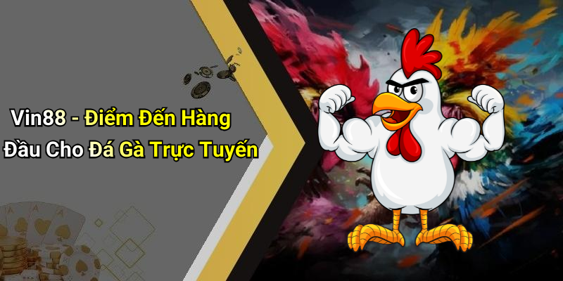 Tổng quan về đá gà cựa sắt tại Vin88