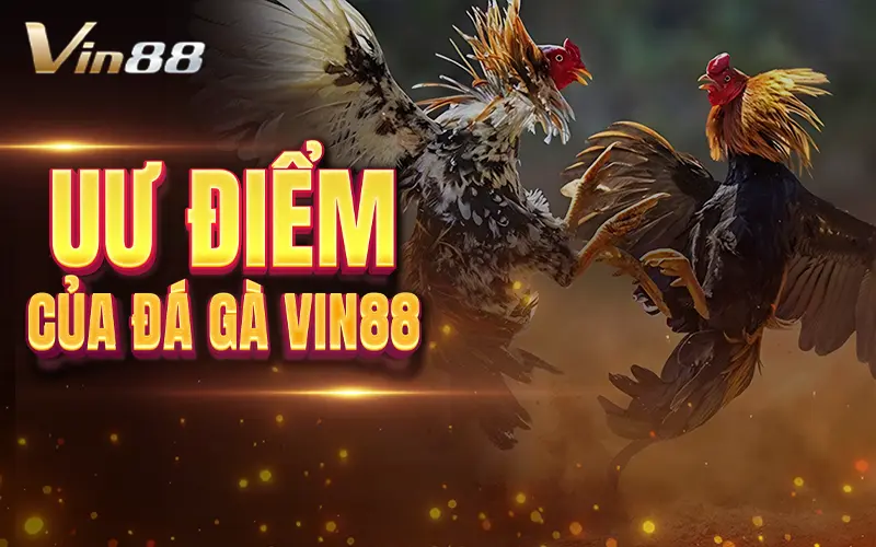 Ưu điểm nổi bật khi chơi tại Vin88
